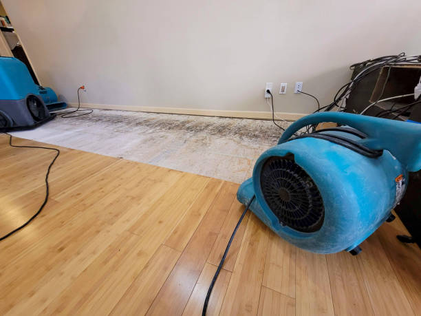 Professional Water Damage Repair technician working in Mount Laurel, NJ